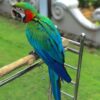 Mindy - Image 2