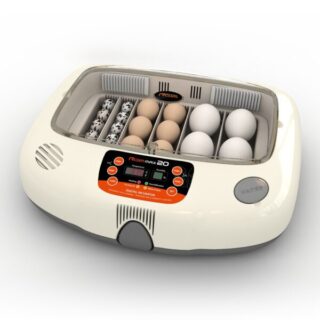 Parrot Eggs Incubator for sale